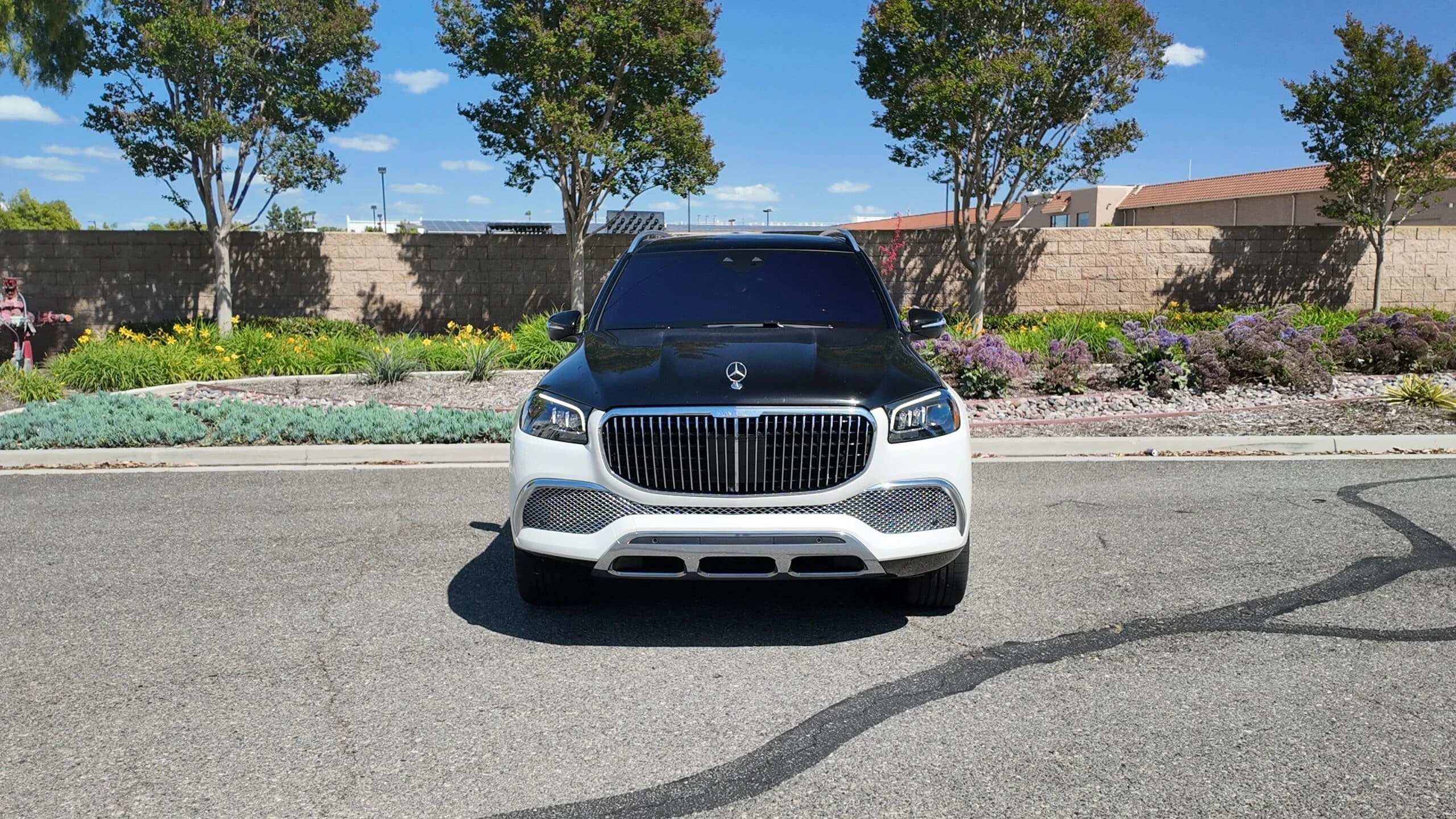 Mercedes-Maybach GLS 600 cabin detail